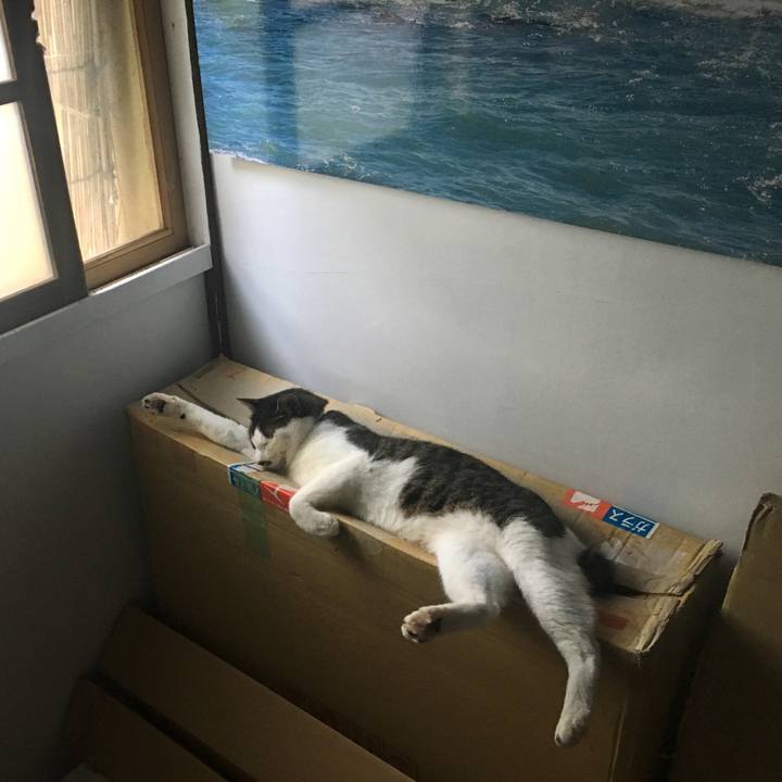 Caba2ff5 51cd 4f98 b472 7a46bf8381ff 1531180925549