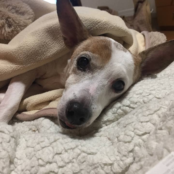 Caba55c5 5897 45f6 a4ca 61d9b970e7db 1542933382703