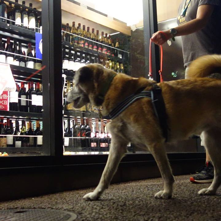 Caba6177 5035 42fa aa02 50a2d06cf17c 1568989312133