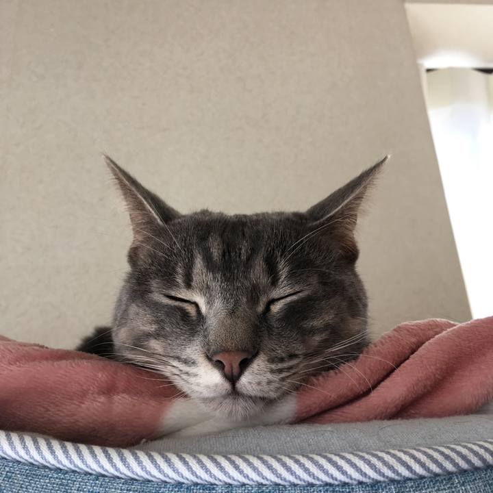 Caba73db 5281 4712 bbaa 8d5175780113 1515301586415