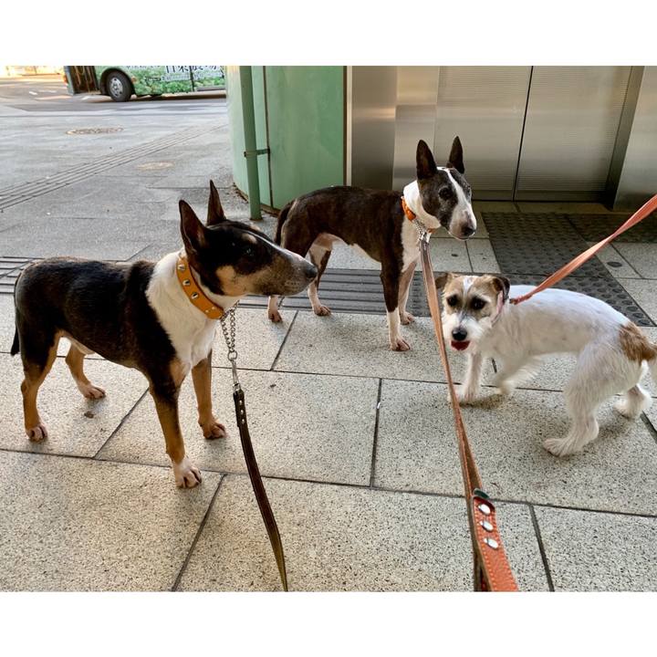 Caba9f5c 872e 48fd 8367 c1de066463f5 1603619002925