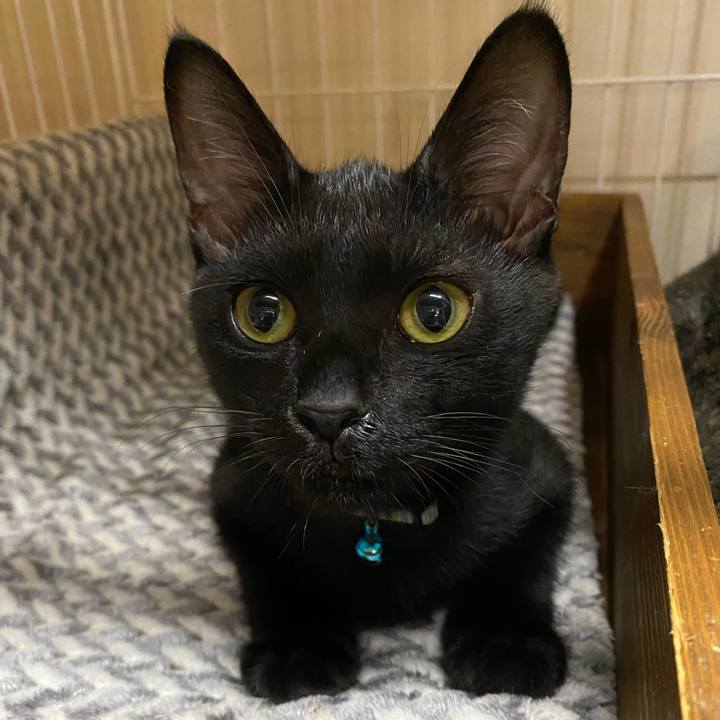 Cabaa67d 4829 4809 8645 a3bfcbb9cbf5 1631092524386