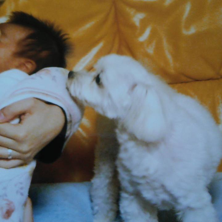 Cabab558 0fbe 4058 9f12 d1f697b6d5e2 1524797999294