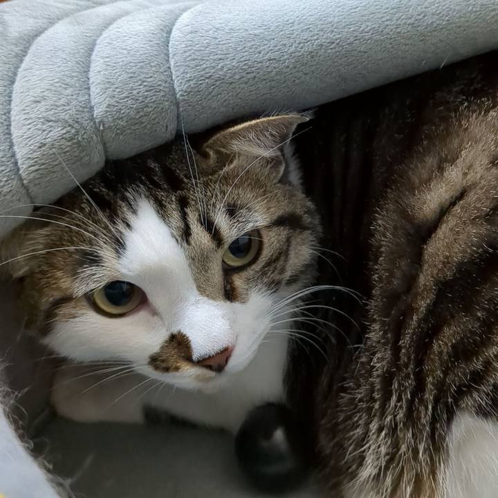 Cabab867 9e92 409d a89c 4cc81d3c7b69 1679804298518