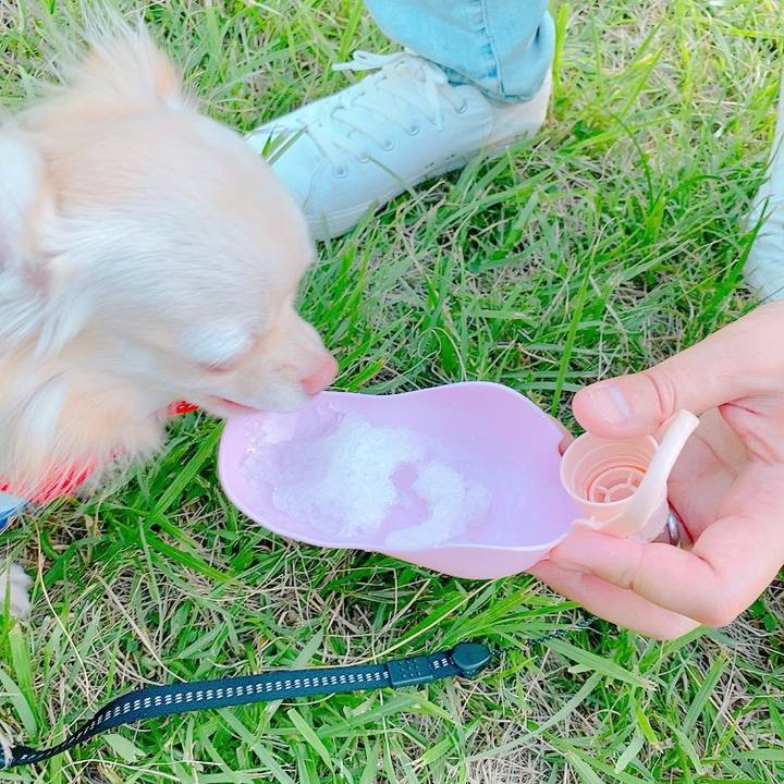 Cabaef7d 1854 4f9c 8dc1 e8ec85cf371f 1626613356931