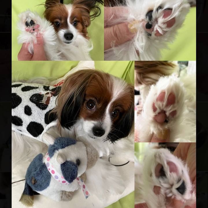 Cabaf33a feed 4887 8940 3cbd2ff4ed1e 1741999935663