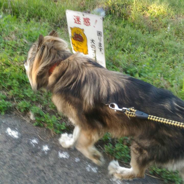 Cabb048f 30e2 4420 a68f 5c784ab4ebc7 1570621846913