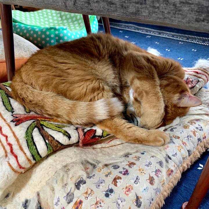 Cabb0972 f6fa 4d76 b2ab 32e0bb8521cb 1563845970520