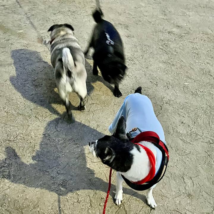 Cabb13bb 906e 4e1a abcb 32016b50119f 1655724703404