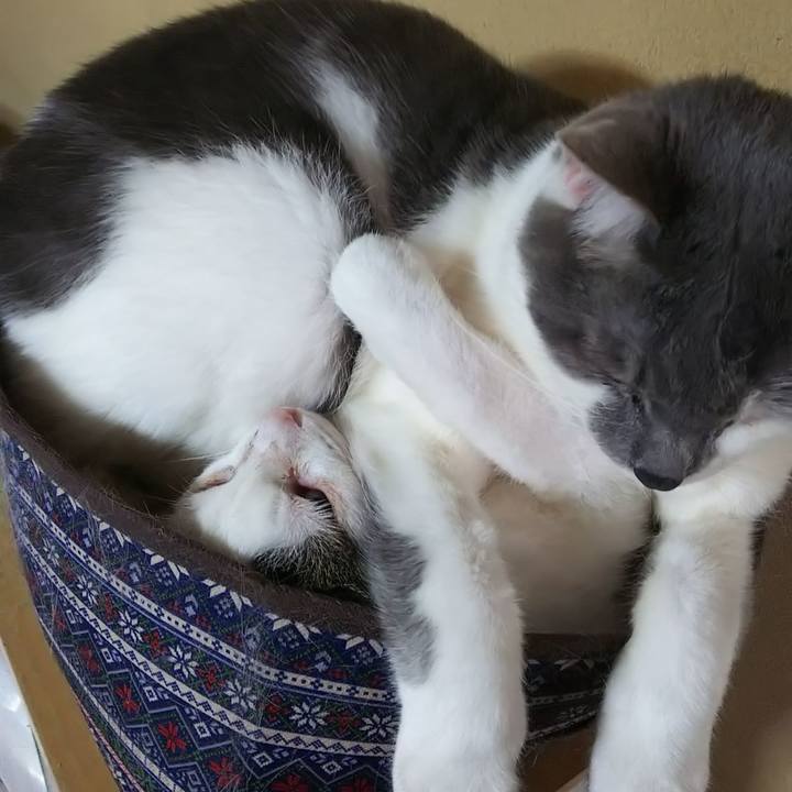 Cabb435e 95dd 447e 84ca 200db18c22cc 1557239209422