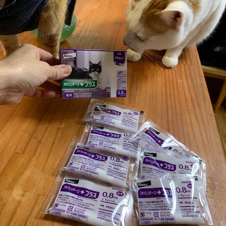 Cabb4790 812a 4090 885a 5f58960bb801 1649417488758