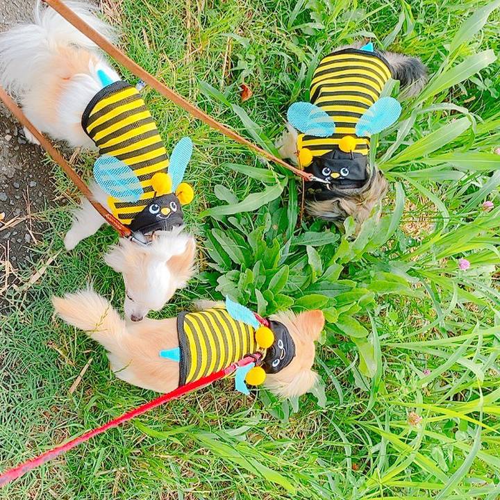 Cabba53f aa11 477a a84f db004502f796 1624596005081