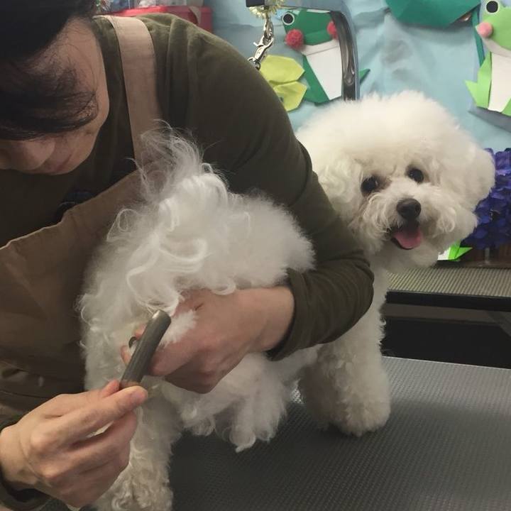 Cabbb155 d54d 45e6 8761 54fdc7e37919 1529233853304