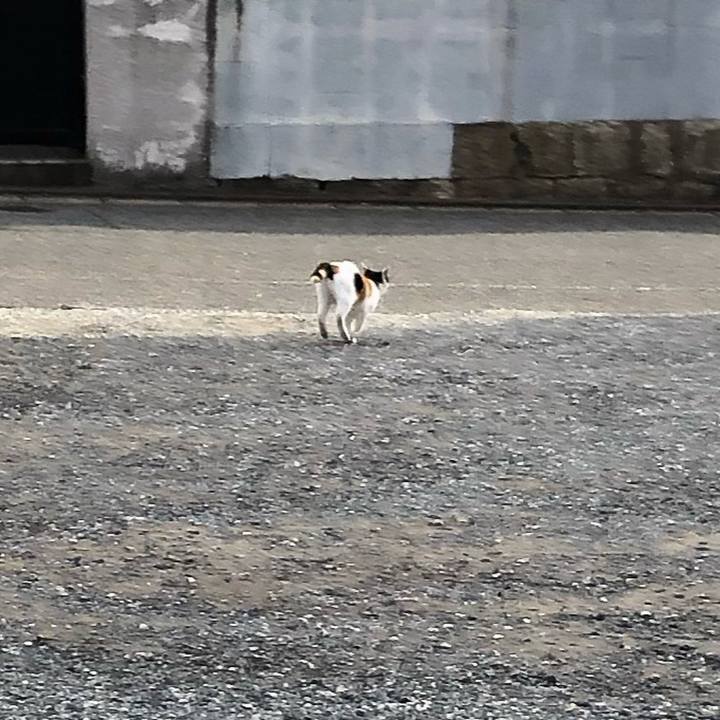 Cabbb9ab 0f71 4e50 b983 371f249cb028 1634471509356