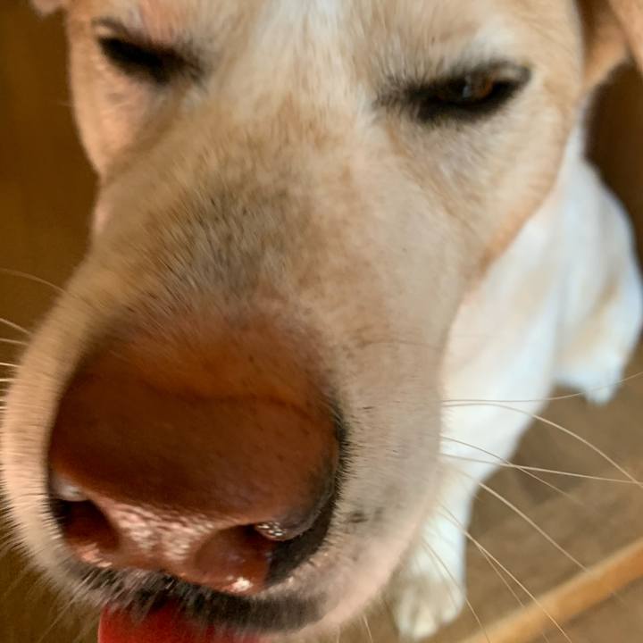 Cabc7405 f8da 475d 9b68 eb38fd38620b 1584231572254