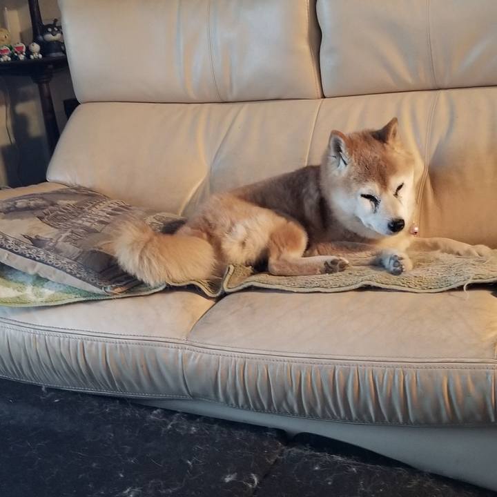 Cabc8cb0 1d6b 4b24 8ae0 8228dcf883a2 1773823178411