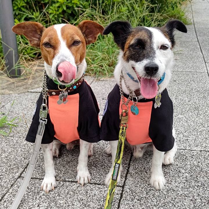 Cabc9093 5cfd 4cb1 a09d 7efff3b6de2a 1661465099318