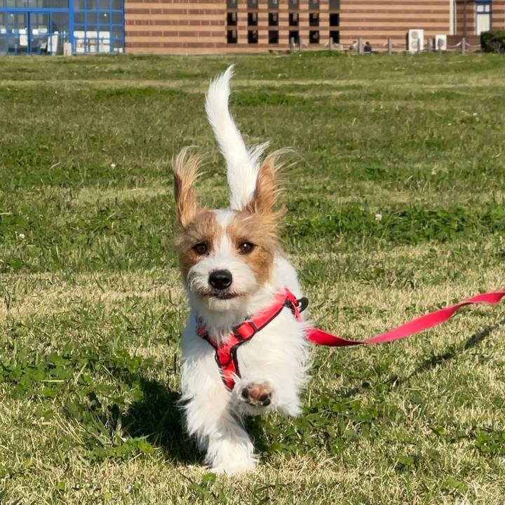 Cabca339 4ce5 4bca ba87 78c4daa85d4a 1761812208204