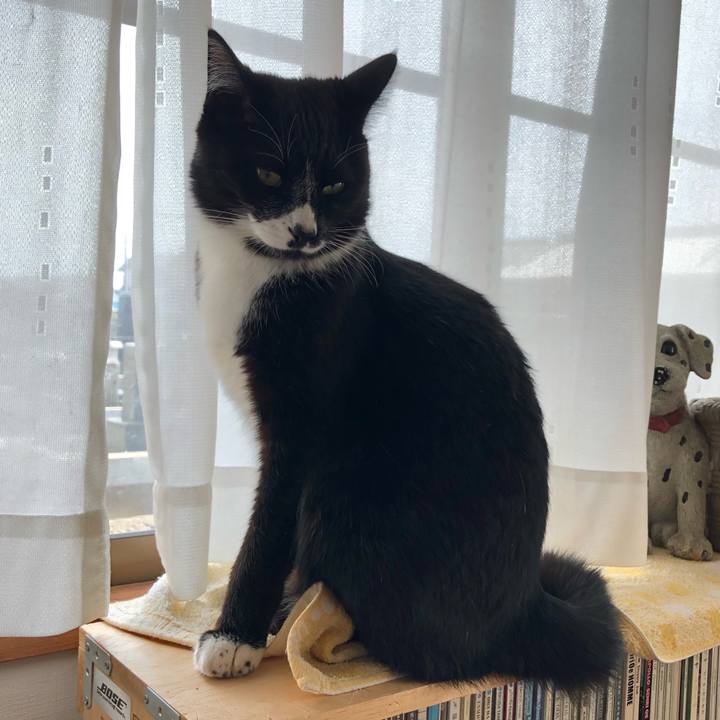 Cabcc688 1ab6 4ddf b7d3 3d339b935835 1521355092565