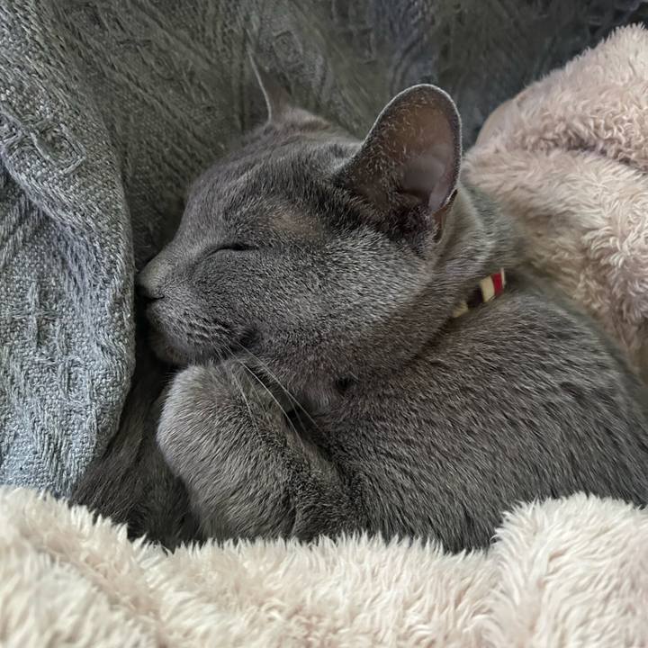 Cabce323 7e27 475a 9274 a1cc3d02ffa8 1748596094708