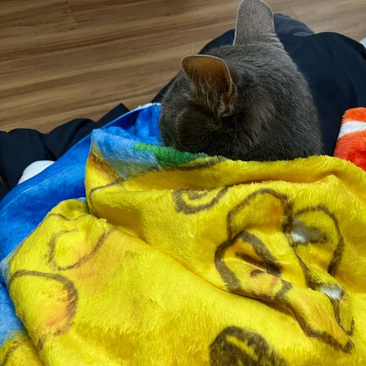 Cabd03d8 ee42 44ec 872a 9c1cbf94c79a 1752106559999