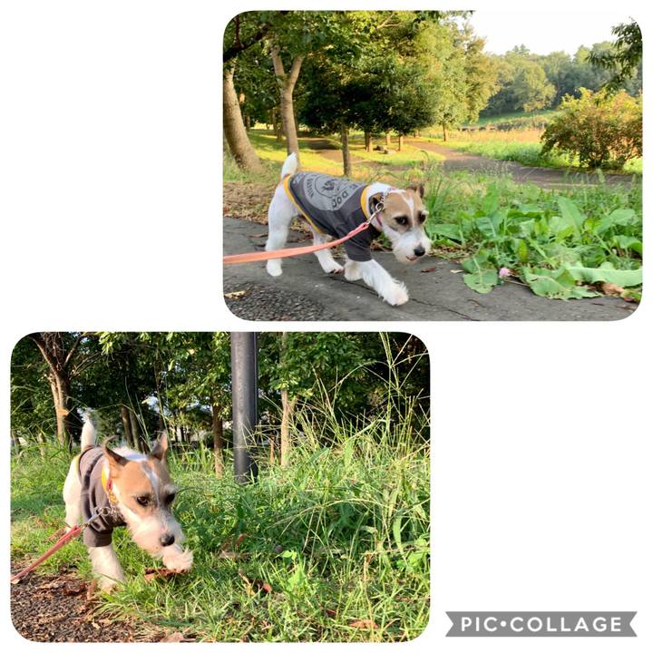 Cabd1428 bcea 4684 9a23 ddeadc0b2679 1601887818309