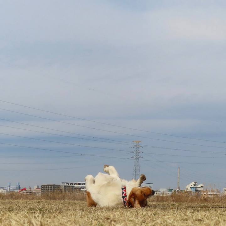 Cabd1776 f3ea 4b30 ae7b 0fc1e5e13e95 1645396738290