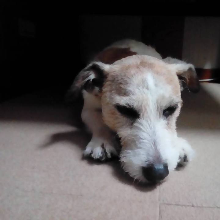 Cabd27ab 4f6c 4b67 93ad 42fbb76ca9d1 1594729365089