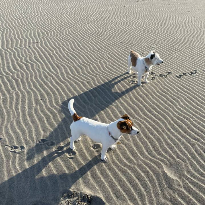 Cabd738d 52a3 4e54 a80b ac0026cdc10e 1669508138915