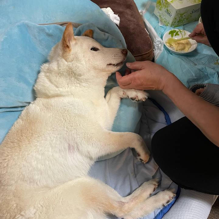 Cabd8412 3fd3 4d0a 943f 28d6eeff32a5 1656685932135