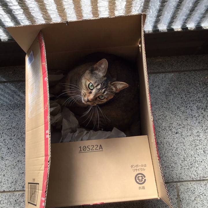 Cabdedbd 307f 43b1 981d a380ab5ac977 1606612786344