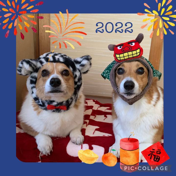 Cabdf37f f427 4d45 9ed5 a65d01e58041 1641022171955