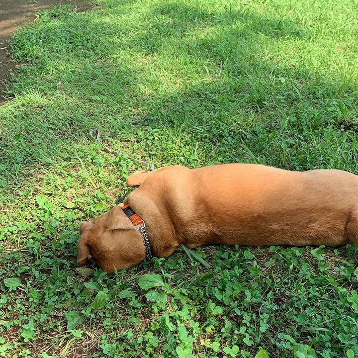 Cabe4707 ad97 41a1 915e 685d4c533a67 1565075634340