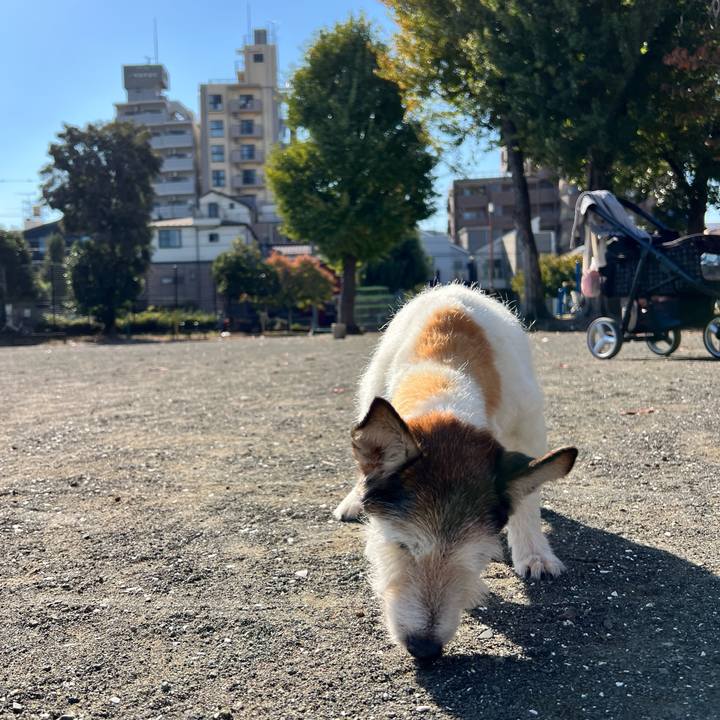 Cabe5882 3a7d 403c 8874 1d2edb161873 1763108657453