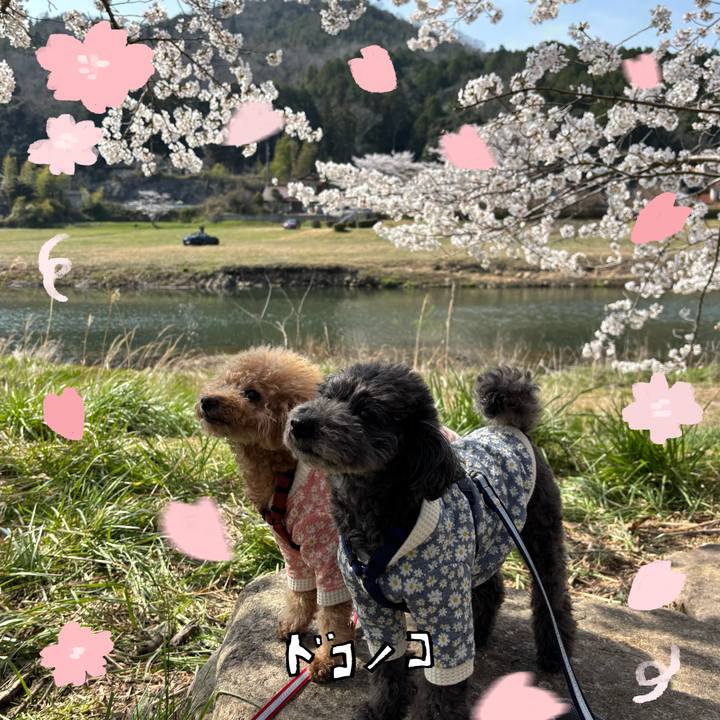 Cabe8067 fe92 4eb5 ab53 36162fcec0e8 1744452517271