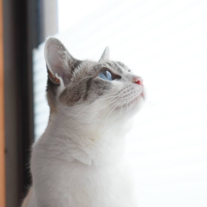 Cabecaa6 29b1 458c 98ca 9afc24fe9865 1530958441386