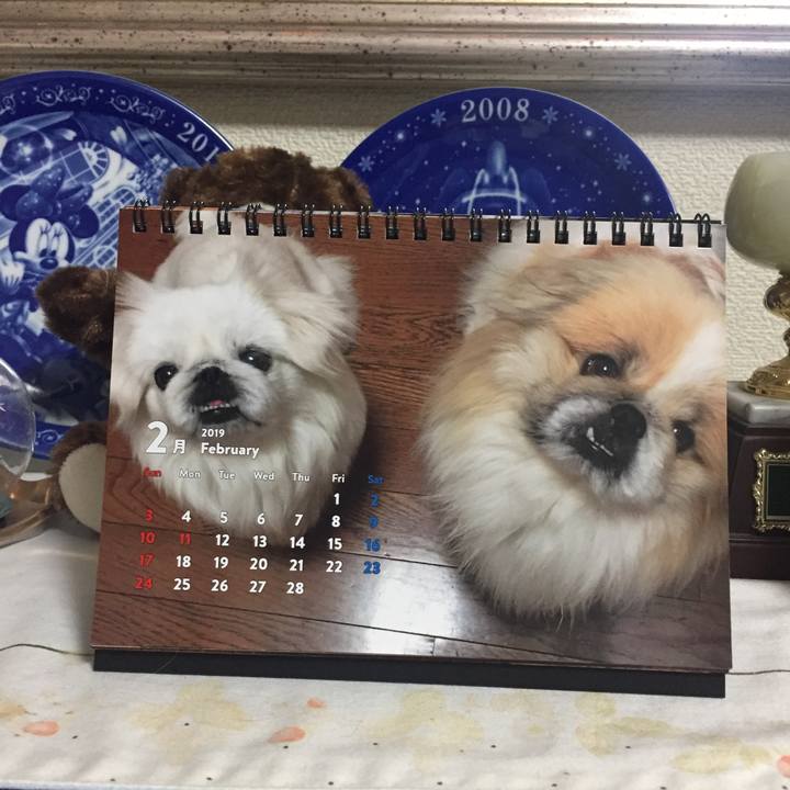 Cabee631 7297 479a b360 8ee29ed3220a 1549020701764