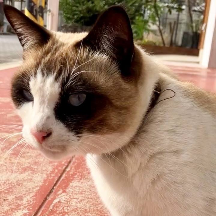 Cabf0756 5635 4479 9399 7ac6419dc349 1738117736832