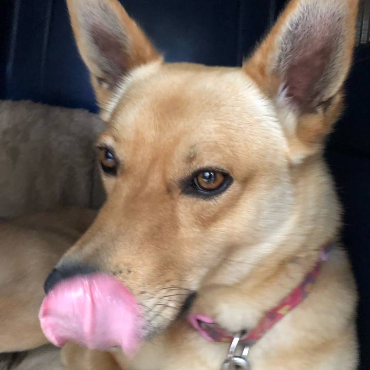 Cabf0cf8 39c6 4f3f b5b8 3a869a65e69e 1526185219437