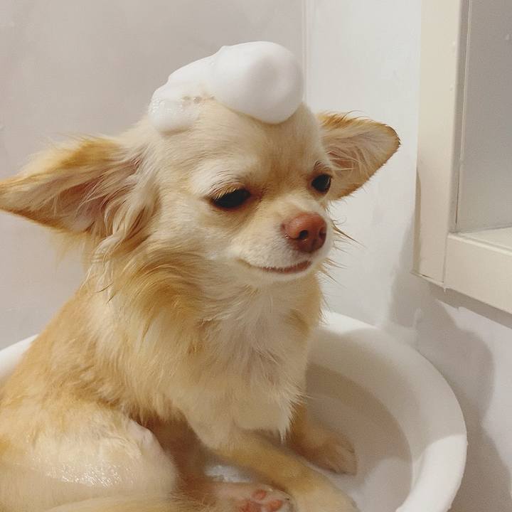 Cabf97f3 454f 44ad a036 0f3c6666b218 1617715525614