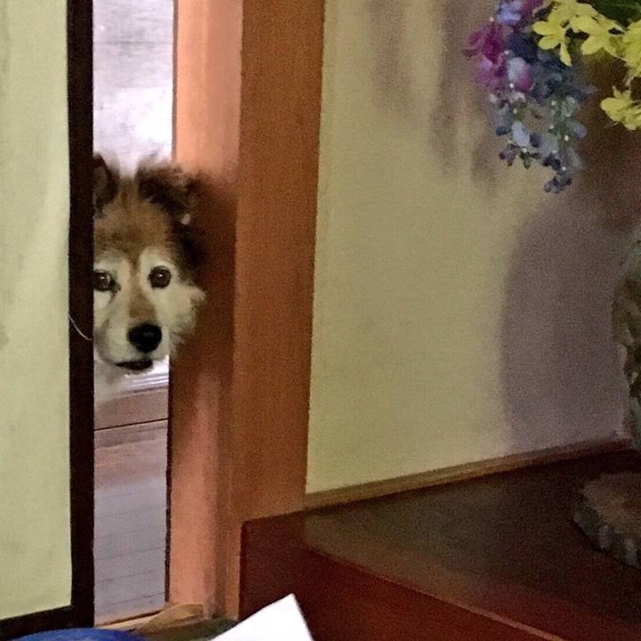 Cabfaf6f c4a1 42b0 bbaf bff89b4c0b0e 1576237525633