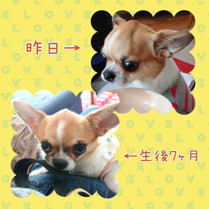 Cabfbadb 35b9 40dd 8d91 40e50c53f108 1643617489332