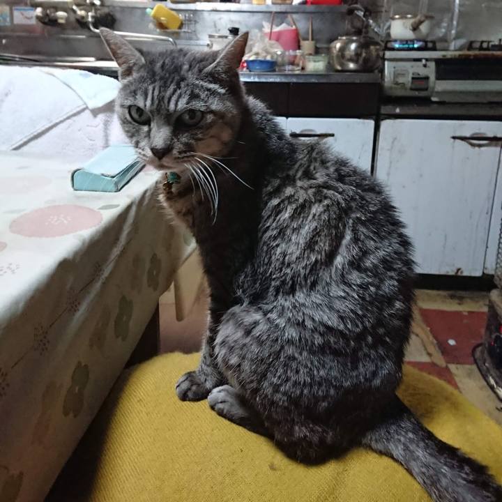 Cabfdf47 145e 4d8a 97c1 5cea883c2110 1605040829255