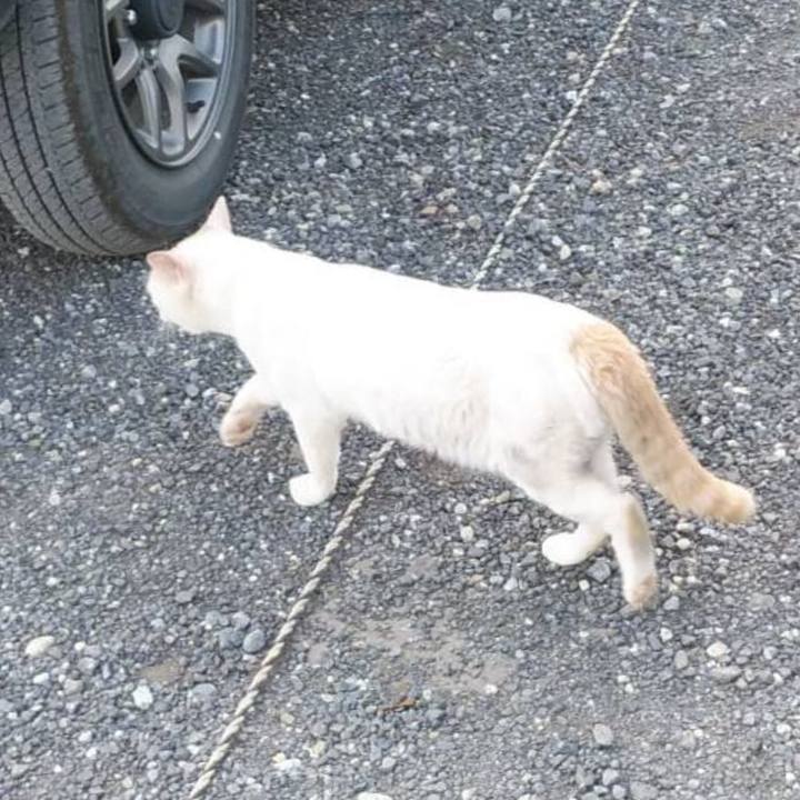 Cabfdffe cc54 4439 b594 49850bdbf7f7 1624320855945