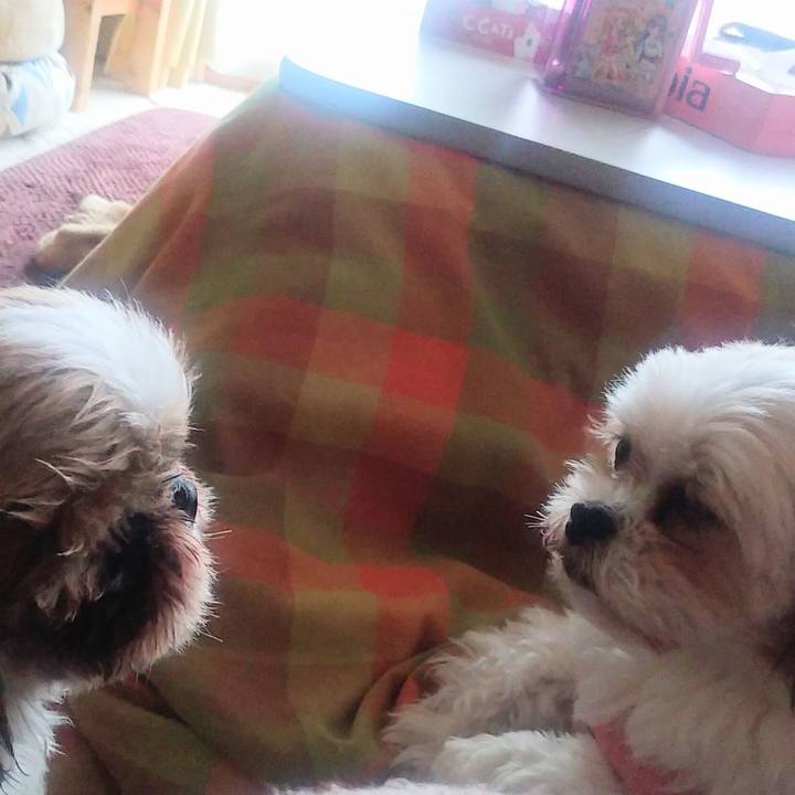 Cac01485 9907 44be 8da4 a74aa6968ce9 1581640398352