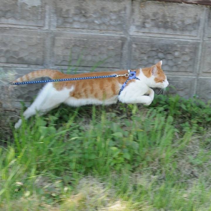 Cac0288b 2b75 4c00 8276 25838cad7c77 1524901630093