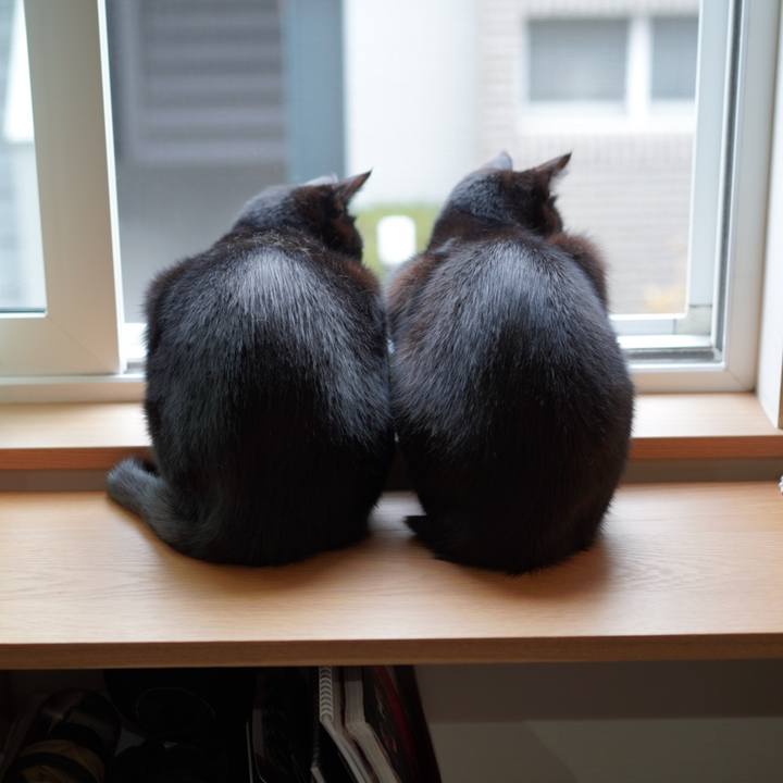 Cac04779 6883 446c bff9 4b32a590a8e3 1654041339322