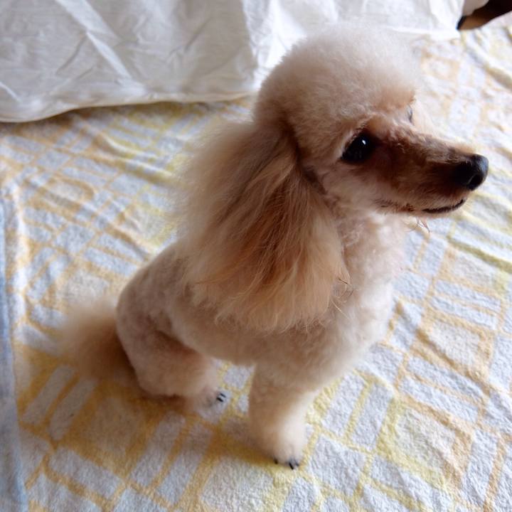 Cac0c529 3128 4ab2 96cf 87e46d506cc1 1507969274123