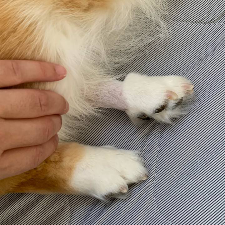 Cac0f355 af60 4e42 b563 898e9ad721bf 1688868128132