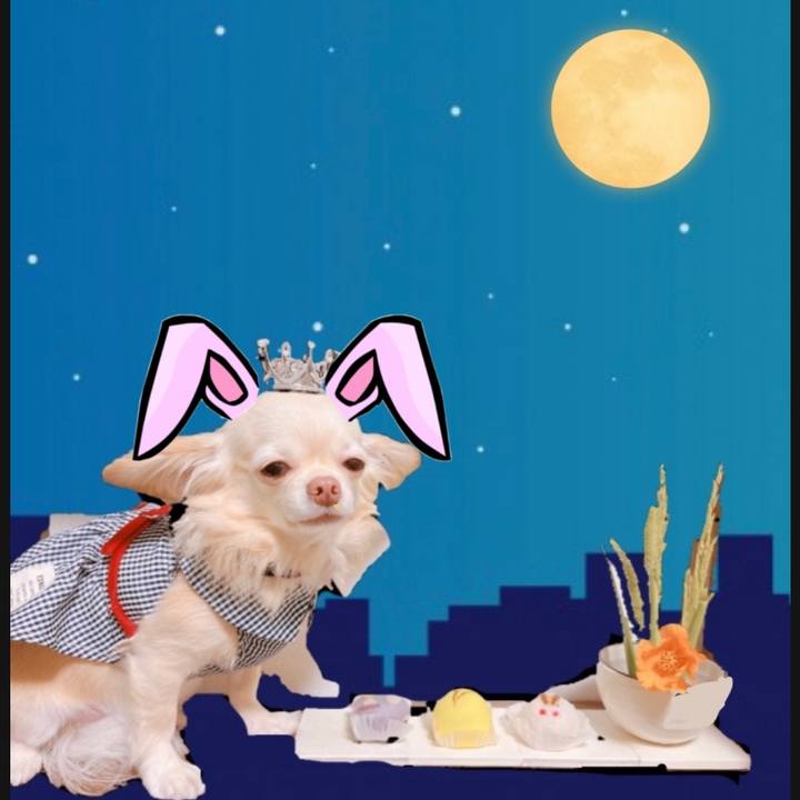 Cac11dc0 0693 4a12 a154 b141d0607d74 1662805829811